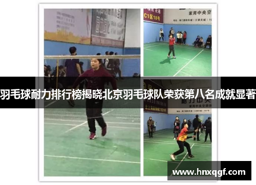 羽毛球耐力排行榜揭晓北京羽毛球队荣获第八名成就显著